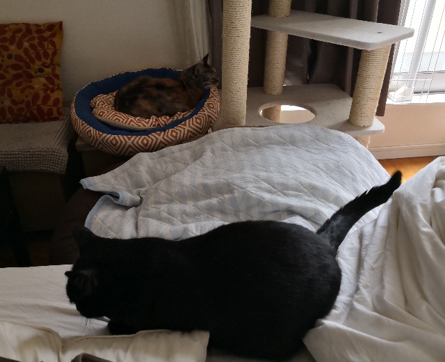 f:id:hiraryo0201:20180929074445j:image