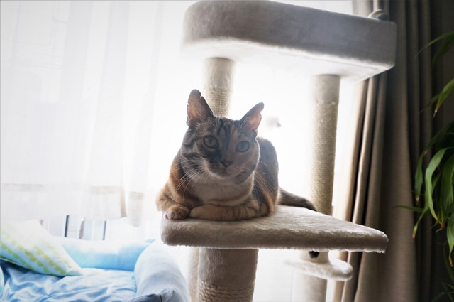 f:id:hiraryo0201:20180930094320j:plain f:id:hiraryo0201:20180930094320j:plain