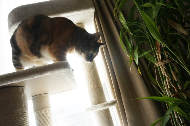 f:id:hiraryo0201:20180930094325j:plain f:id:hiraryo0201:20180930094325j:plain