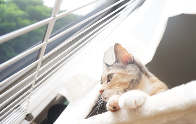 f:id:hiraryo0201:20180930094357j:plain f:id:hiraryo0201:20180930094357j:plain