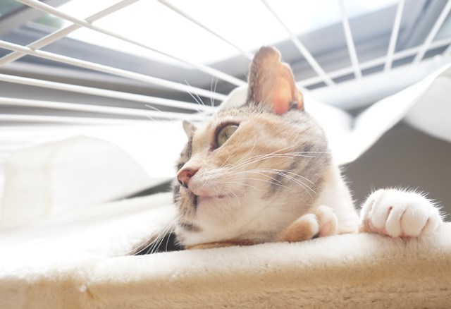 f:id:hiraryo0201:20180930094401j:plain f:id:hiraryo0201:20180930094401j:plain