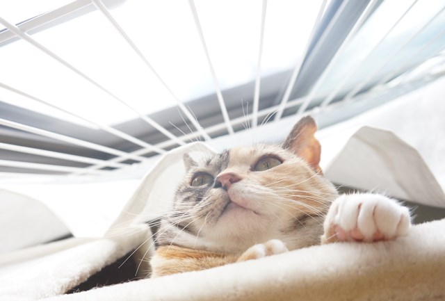 f:id:hiraryo0201:20180930094407j:plain f:id:hiraryo0201:20180930094407j:plain