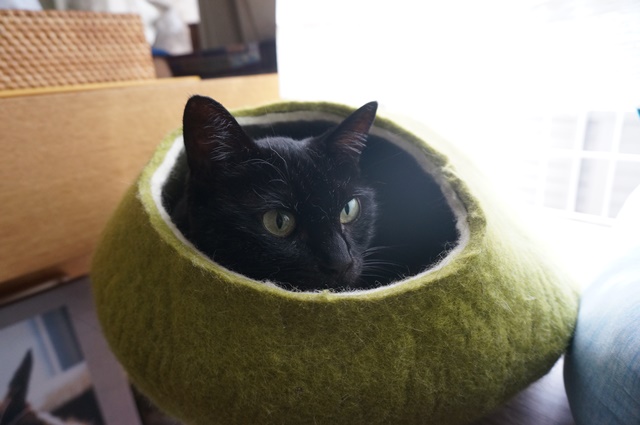 f:id:hiraryo0201:20180930094428j:plain f:id:hiraryo0201:20180930094428j:plain