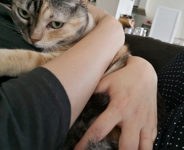 f:id:hiraryo0201:20180930172532j:image f:id:hiraryo0201:20180930172532j:image