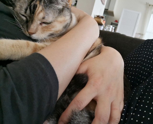 f:id:hiraryo0201:20180930172543j:image f:id:hiraryo0201:20180930172543j:image