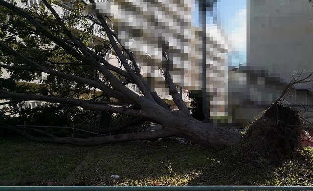 f:id:hiraryo0201:20181001145530j:image f:id:hiraryo0201:20181001145530j:image