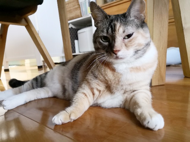 f:id:hiraryo0201:20181005210942j:image