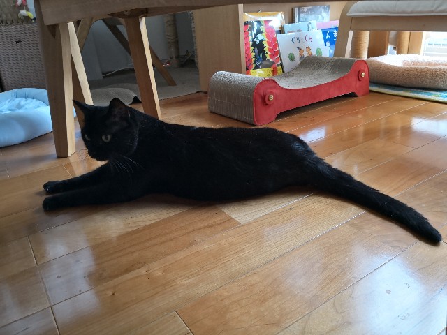 f:id:hiraryo0201:20181006193006j:image