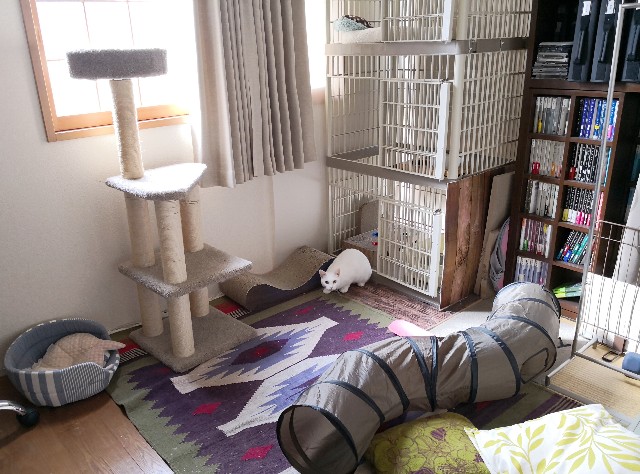 f:id:hiraryo0201:20181006193313j:image f:id:hiraryo0201:20181006193313j:image