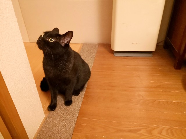 f:id:hiraryo0201:20181024185102j:image f:id:hiraryo0201:20181024185102j:image
