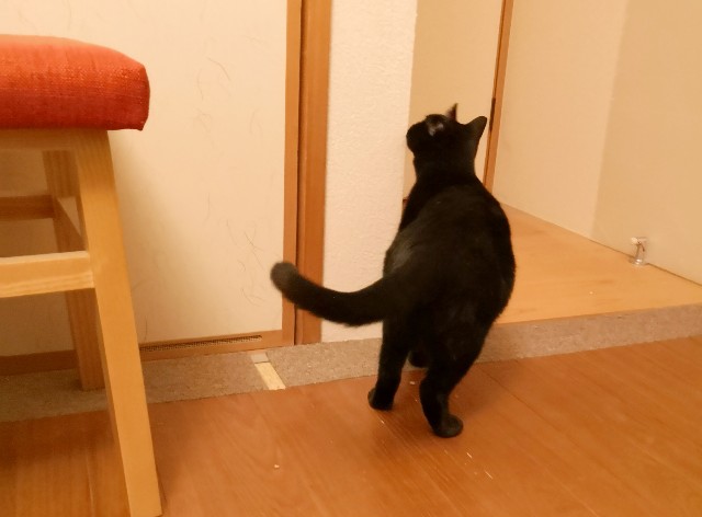 f:id:hiraryo0201:20181027074535j:image