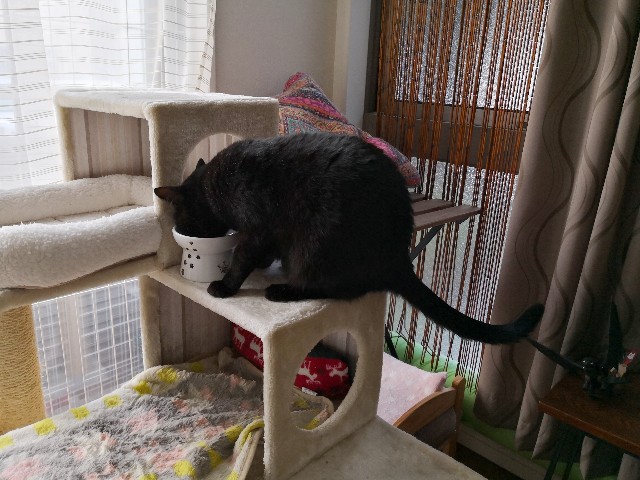 f:id:hiraryo0201:20181027105611j:image f:id:hiraryo0201:20181027105611j:image