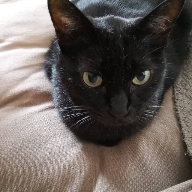 f:id:hiraryo0201:20181027110113j:image f:id:hiraryo0201:20181027110113j:image