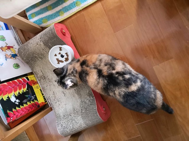 f:id:hiraryo0201:20181027112324j:image f:id:hiraryo0201:20181027112324j:image