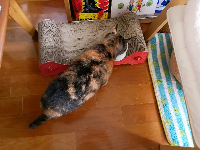 f:id:hiraryo0201:20181027112337j:image f:id:hiraryo0201:20181027112337j:image