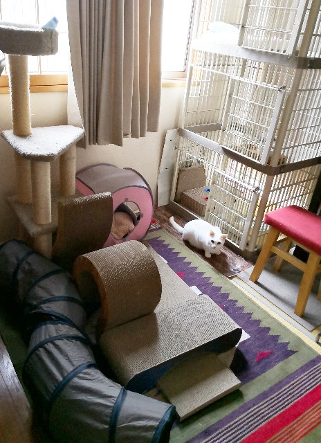 f:id:hiraryo0201:20181027113903j:image f:id:hiraryo0201:20181027113903j:image