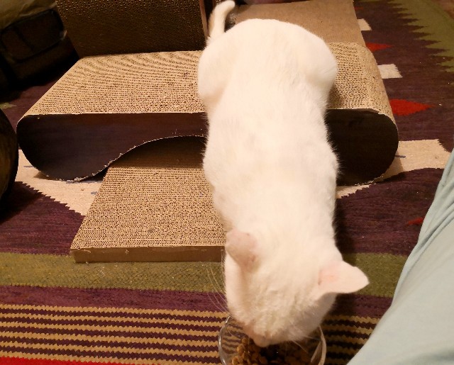 f:id:hiraryo0201:20181027113939j:image f:id:hiraryo0201:20181027113939j:image