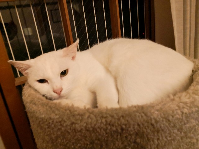 f:id:hiraryo0201:20181027114026j:image f:id:hiraryo0201:20181027114026j:image