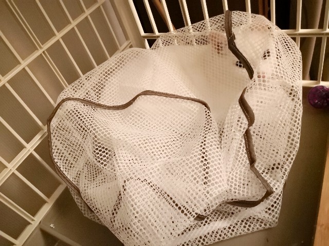 f:id:hiraryo0201:20181030190319j:image