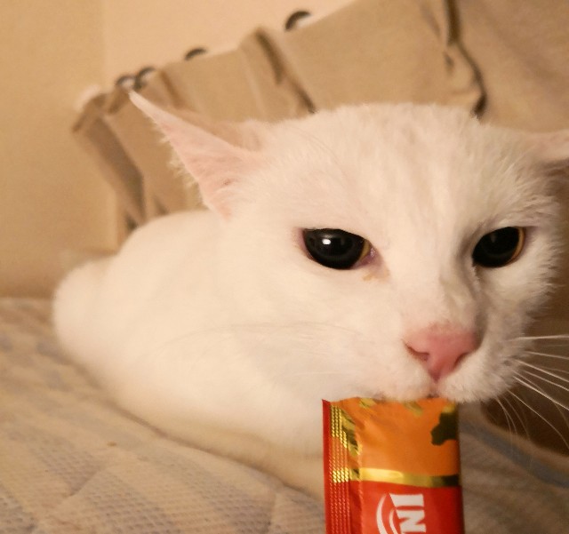 f:id:hiraryo0201:20181030190414j:image