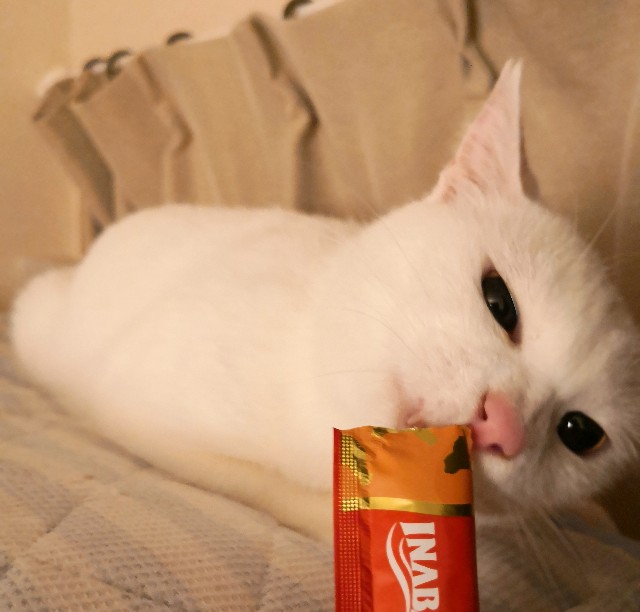 f:id:hiraryo0201:20181030190431j:image