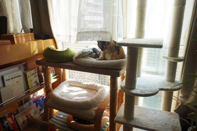 f:id:hiraryo0201:20181103151420j:plain