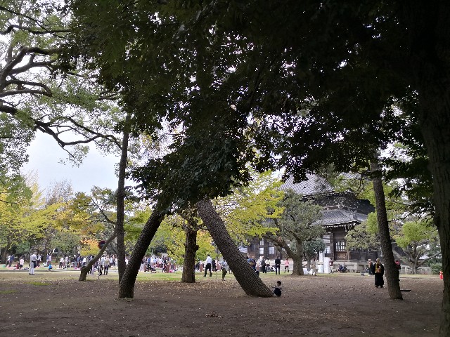 f:id:hiraryo0201:20181111181320j:image