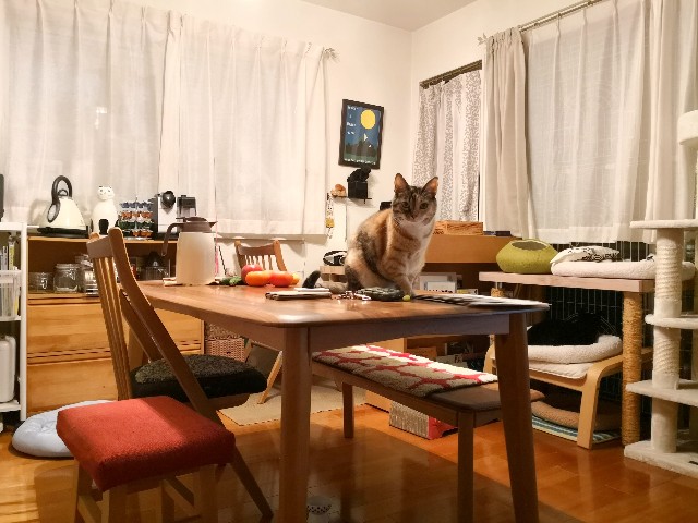 f:id:hiraryo0201:20181112180648j:image f:id:hiraryo0201:20181112180648j:image