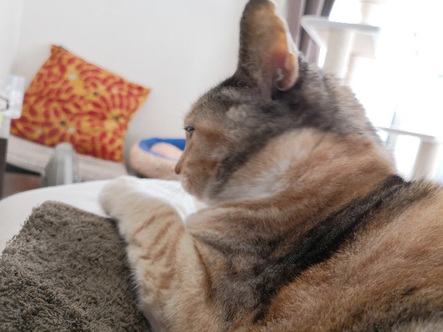 f:id:hiraryo0201:20181201134106j:plain f:id:hiraryo0201:20181201134106j:plain