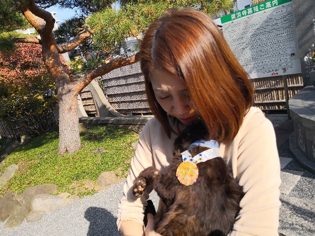 f:id:hiraryo0201:20181201134154j:image f:id:hiraryo0201:20181201134154j:image