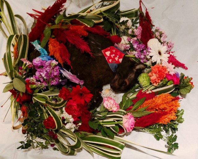 f:id:hiraryo0201:20181201134212j:plain f:id:hiraryo0201:20181201134212j:plain