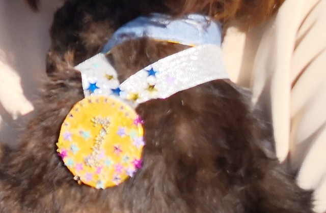 f:id:hiraryo0201:20181201172821j:image f:id:hiraryo0201:20181201172821j:image