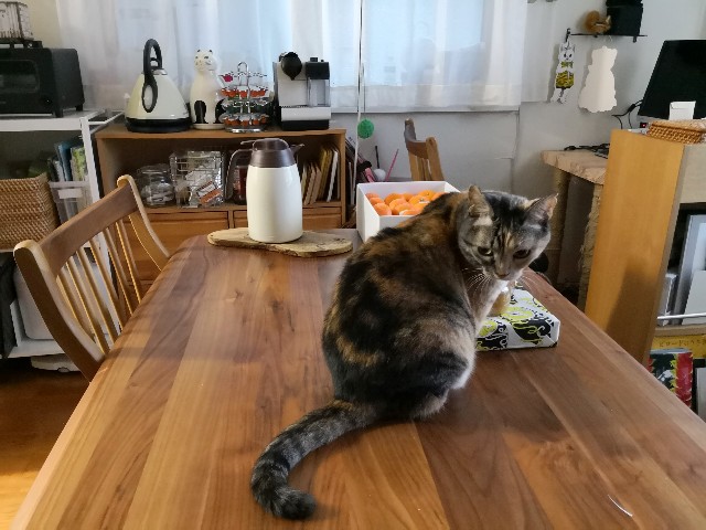 f:id:hiraryo0201:20181202011220j:plain f:id:hiraryo0201:20181202011220j:plain