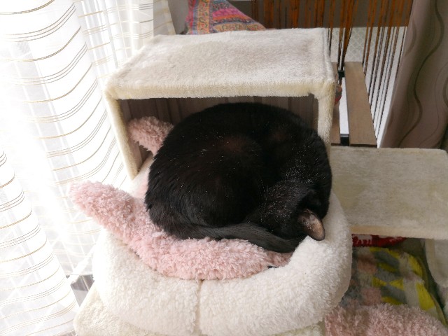 f:id:hiraryo0201:20181202122921j:image f:id:hiraryo0201:20181202122921j:image