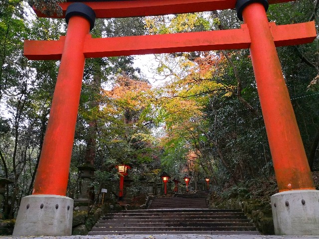 f:id:hiraryo0201:20181208115343j:image f:id:hiraryo0201:20181208115343j:image