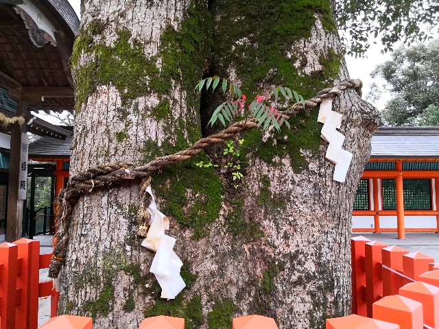 f:id:hiraryo0201:20181208115441j:image f:id:hiraryo0201:20181208115441j:image