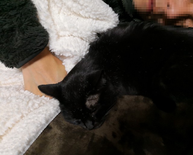 f:id:hiraryo0201:20181209215602j:plain f:id:hiraryo0201:20181209215602j:plain