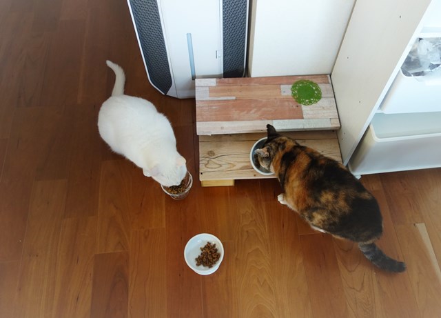 f:id:hiraryo0201:20181223111833j:plain