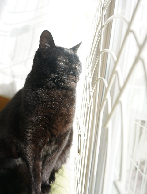 f:id:hiraryo0201:20181223112621j:plain