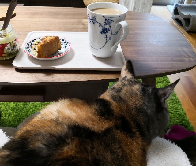 f:id:hiraryo0201:20181228003712j:image f:id:hiraryo0201:20181228003712j:image