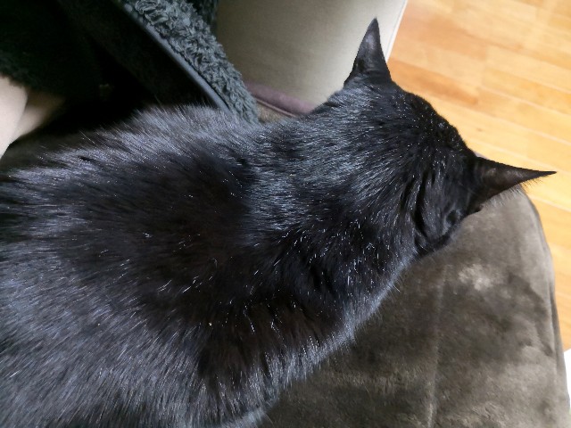 f:id:hiraryo0201:20181228003759j:image f:id:hiraryo0201:20181228003759j:image