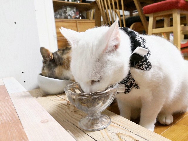 f:id:hiraryo0201:20181228004134j:image