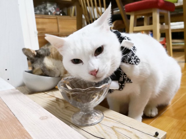 f:id:hiraryo0201:20181228004153j:image