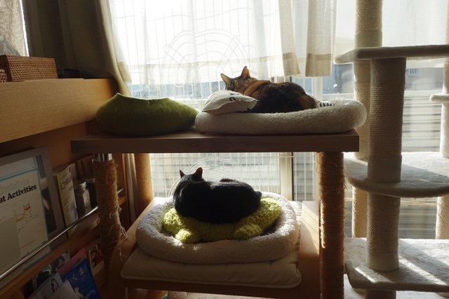 f:id:hiraryo0201:20181229121441j:plain f:id:hiraryo0201:20181229121441j:plain