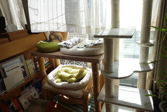 f:id:hiraryo0201:20181229121631j:plain f:id:hiraryo0201:20181229121631j:plain