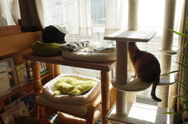 f:id:hiraryo0201:20181229121653j:plain f:id:hiraryo0201:20181229121653j:plain