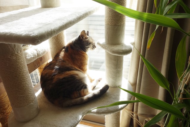 f:id:hiraryo0201:20181229121857j:plain f:id:hiraryo0201:20181229121857j:plain