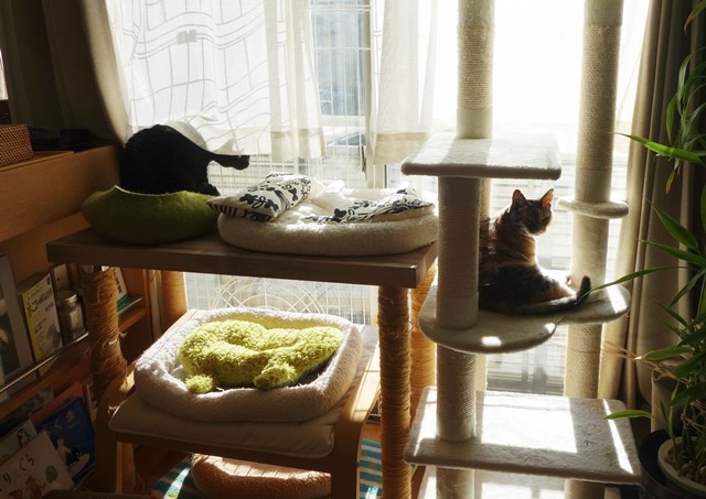 f:id:hiraryo0201:20181229121925j:plain f:id:hiraryo0201:20181229121925j:plain