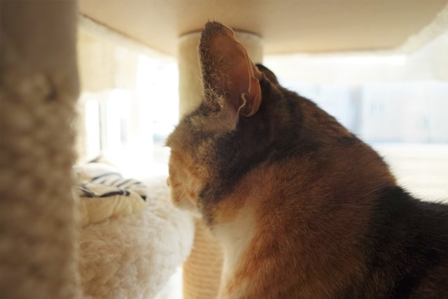 f:id:hiraryo0201:20181229122010j:plain f:id:hiraryo0201:20181229122010j:plain