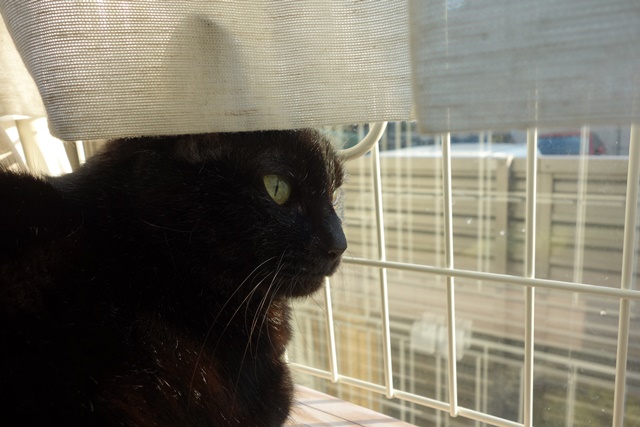 f:id:hiraryo0201:20181229122016j:plain f:id:hiraryo0201:20181229122016j:plain